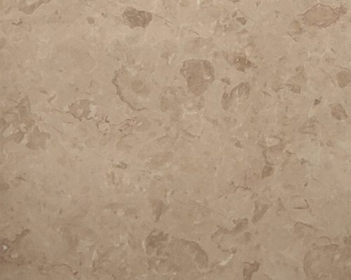 Cappuccino Fossil